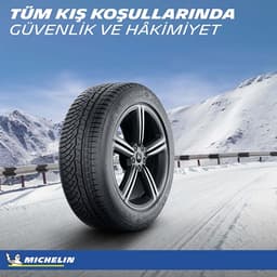 Michelin Pilot Alpin PA4 Performans