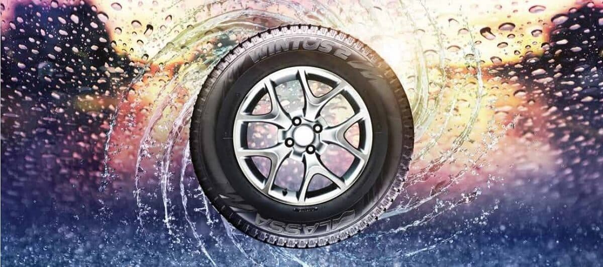 Lassa Wintus 2