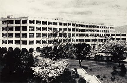 Bridgestone Tarihi