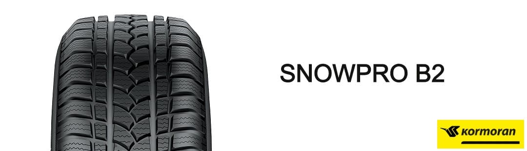 165/70R14 81T Snowpro B2