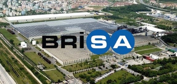 Bridgestone Brisa