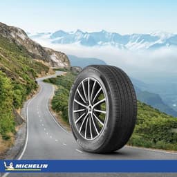 Michelin Primacy All Season Performans