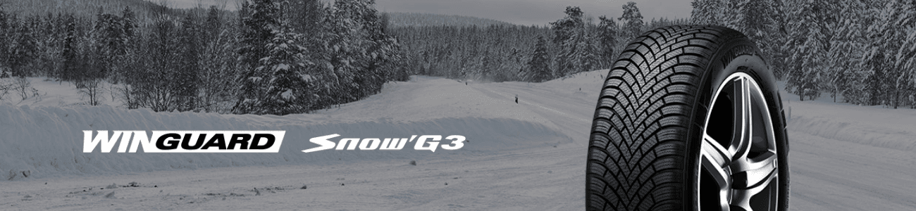 Nexen WinGuard Snow'G WH2 Kış Lastiği