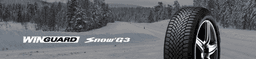 Nexen WinGuard Snow'G WH2 Kış Lastiği
