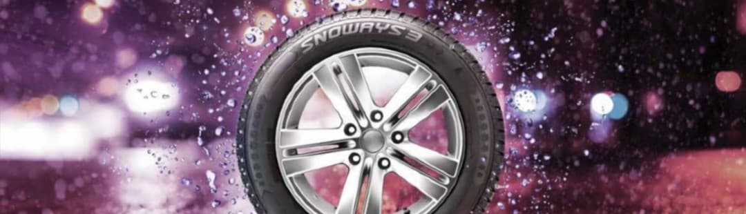 205/55R17 95V XL Snoways3 2025 KIŞ