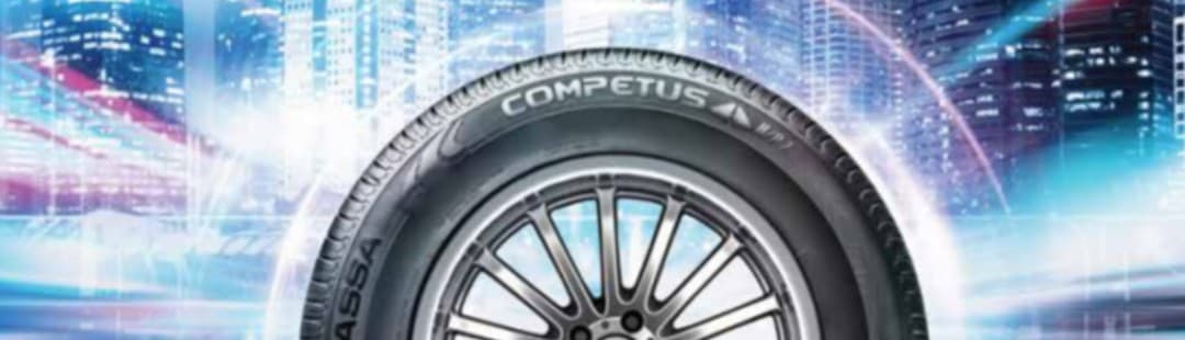 225/60R18 100H TOGG OE Competus H/P 2