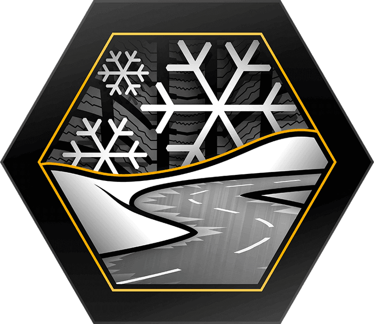 Continental WinterContact TS 870P Kar Performansı