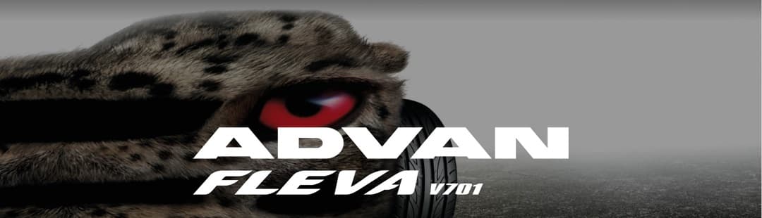 205/40 R18 86W XL Advan Fleva V701