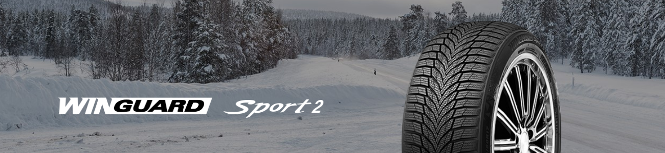 215/40R18 89V XL WinGuard Sport 2
