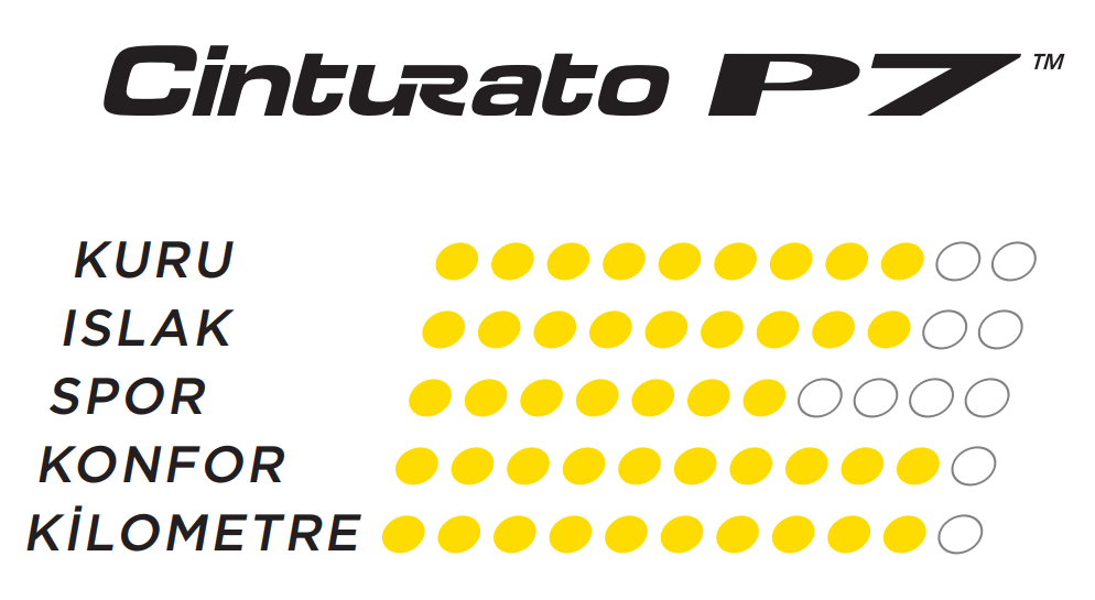 225/45R18 95W XL S-İ Cinturato P7