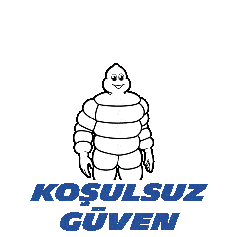 MICHELIN CrossClimate 2 A/W
