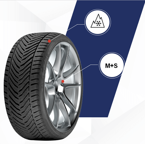 195/55R15 89V XL All Season